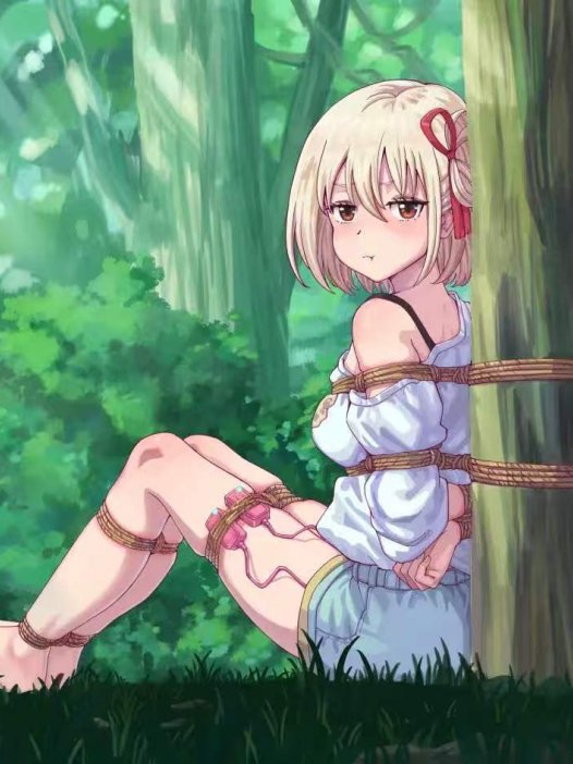 kb二次元捆绑图（三）