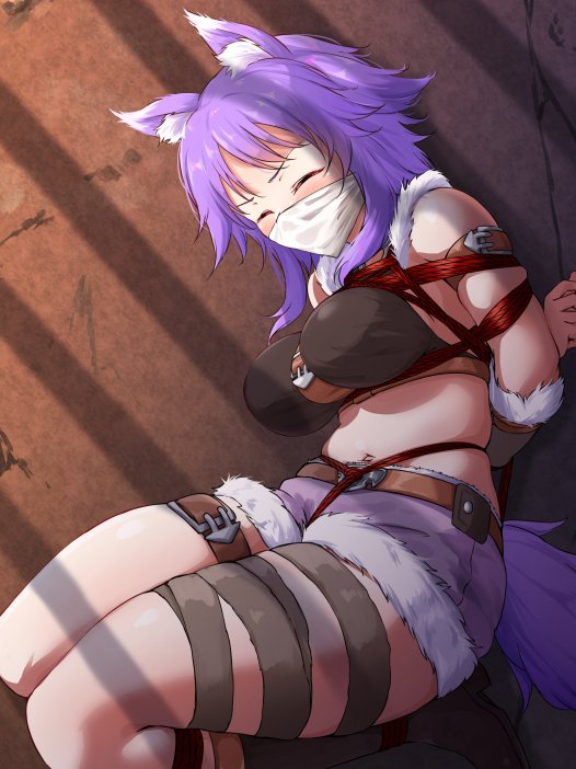 A区二次元捆绑牢图补档6(30P)